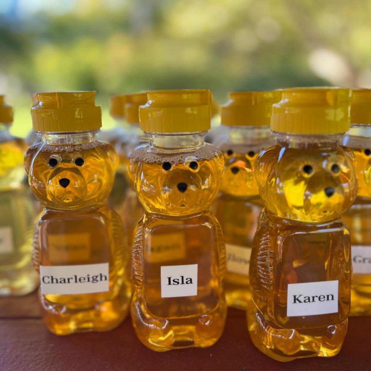 12–36 Stück Kunststoff-Bären-H – Baby Food Jars Bewertung und Preis